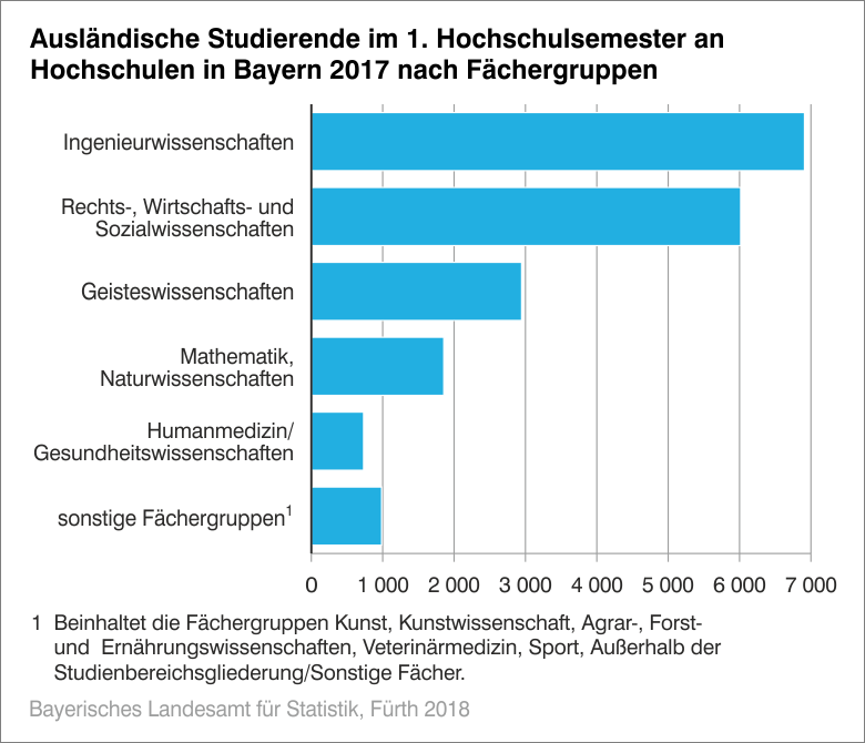 Ausländische Studierende im 1. Hochschulsemester an Hochschulen in Bayern 2017 nach Fächergruppe